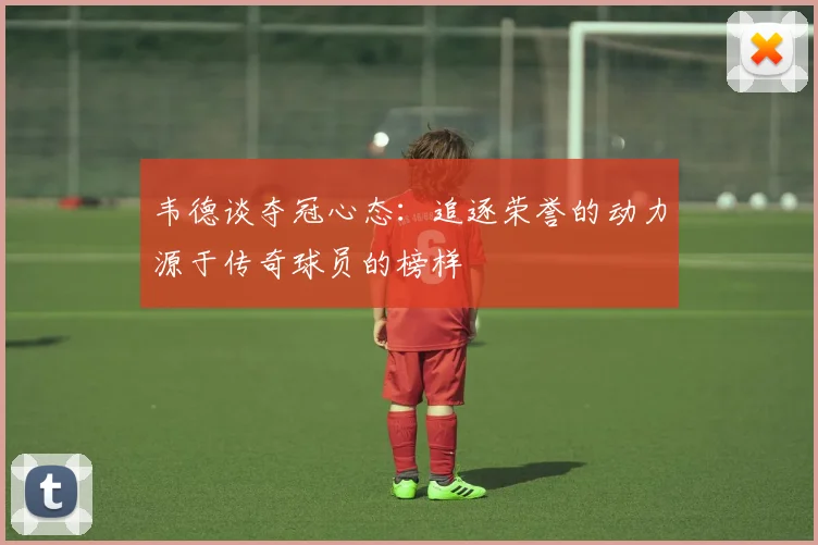 韦德谈夺冠心态：追逐荣誉的动力源于传奇球员的榜样