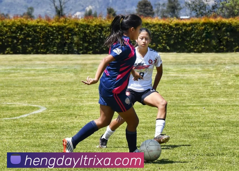 数据防护可视化